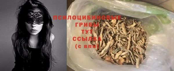 дживик Нягань