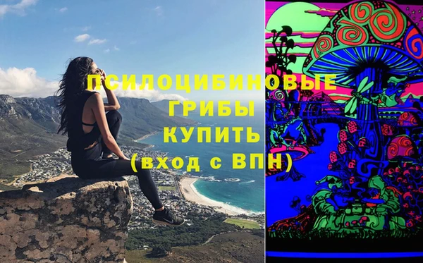 дживик Нягань