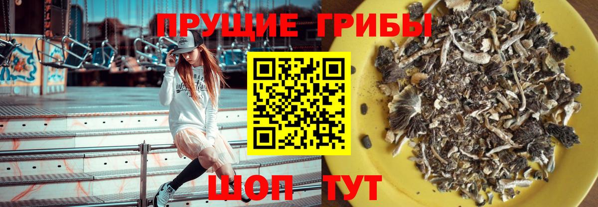 купить закладку  Галлюциногенные грибы Cubensis  Вход с VPN  Богданович  Галлюциногенные грибы Psilocybine cubensis 